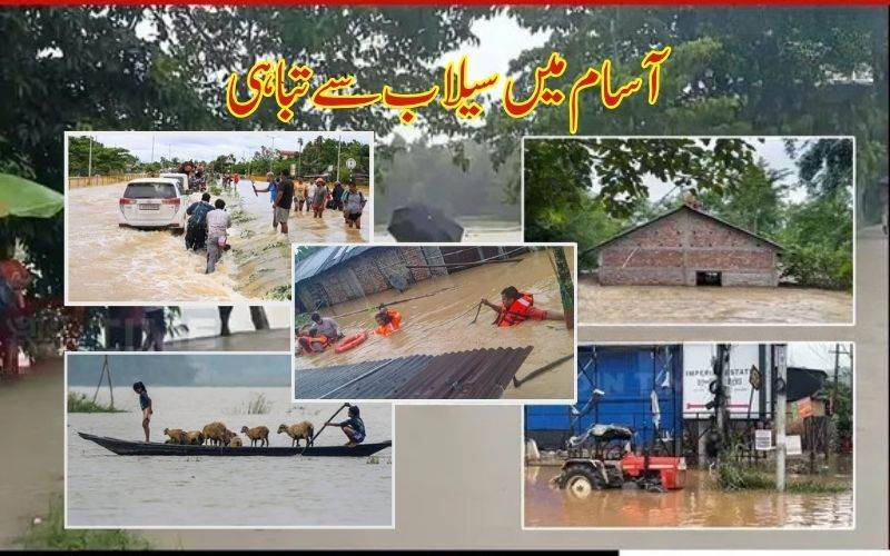 آسام میں سیلاب کی صورتحال تشویشناک،11 افراد ہلاک، 3.6 لاکھ  افرادمتاثر